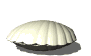 pearl_openseashell_sw.gif