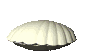 pearl_openseashell_sc.gif