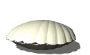 pearl_openseashell_mw.gif