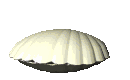 pearl_openseashell_mc.gif