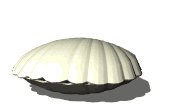 pearl_openseashell_lw.gif