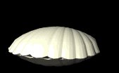 pearl_openseashell_lb.gif