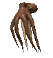 octopus_swimming_sc.gif