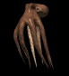 octopus_swimming_sb.gif
