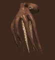 octopus_swimming_mc.gif