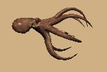 octopus_forward_lc.gif