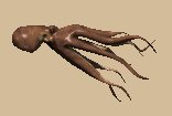 octopus_cruising_lc.gif