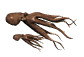 octopus_couple_sw.gif