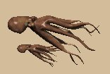 octopus_couple_lc.gif