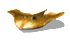 devil_fish_swimming_tw.gif