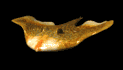 devil_fish_swimming_sb.gif