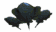 devil_fish_squad_glid_a_tw.gif