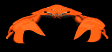 crab_staredown_sb.gif