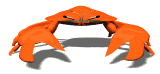crab_staredown_mw.gif