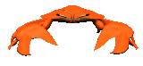 crab_staredown_mc.gif