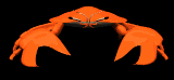 crab_staredown_mb.gif