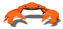 crab_staredown_lw.gif