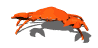crab_snap_pincher_sw.gif