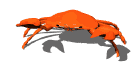 crab_snap_pincher_mw.gif