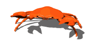 crab_snap_pincher_lw.gif
