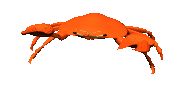 crab_snap_pincher_lc.gif