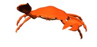 crab_snap_pincher_hr.jpg