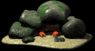 crab_hide_under_rocks_sb.gif