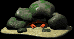 crab_hide_under_rocks_mb.gif