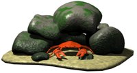 crab_hide_under_rocks_hr.jpg