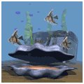 clam3_lb.gif
