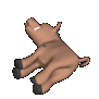 warthog_swooshing_fly_sc.gif