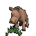 warthog_eating_tc.gif