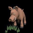 warthog_eating_mc.gif