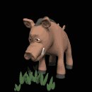 warthog_eating_mb.gif