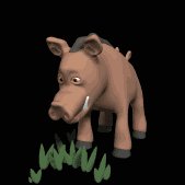 warthog_eating_lb.gif
