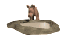 warthog_drinking_tw.gif