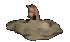 warthog_drinking_tc.gif