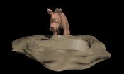 warthog_drinking_mb.gif