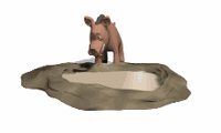 warthog_drinking_lw.gif