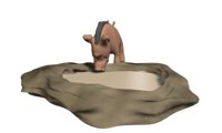 warthog_drinking_hr.jpg