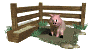 pig_in_mud_sw.gif