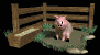 pig_in_mud_sb.gif
