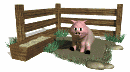 pig_in_mud_mw.gif