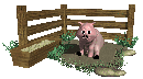 pig_in_mud_mc.gif