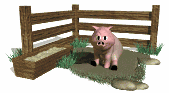 pig_in_mud_lw.gif