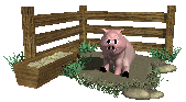 pig_in_mud_lc.gif