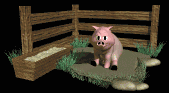 pig_in_mud_lb.gif