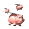 pig_group_fly_sw.gif