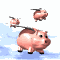 pig_group_fly_ssky.gif