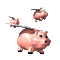 pig_group_fly_sc.gif